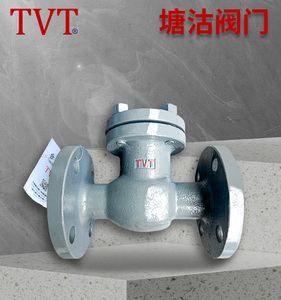 铸钢止回阀