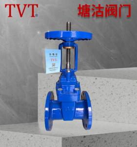 明杆软密封法兰闸阀Z41X-16Q